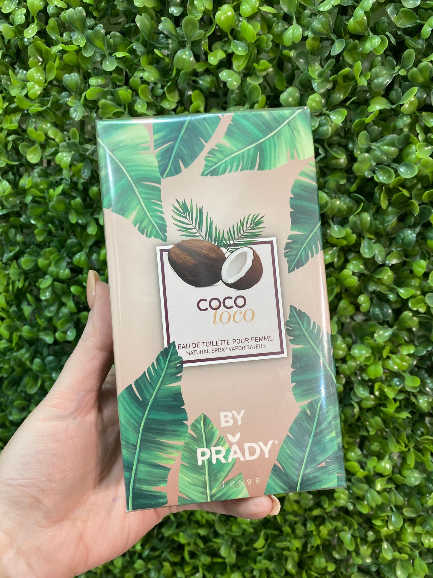 Colonia Coco Loco Prady